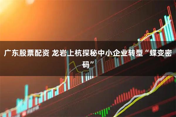 广东股票配资 龙岩上杭探秘中小企业转型“蝶变密码”