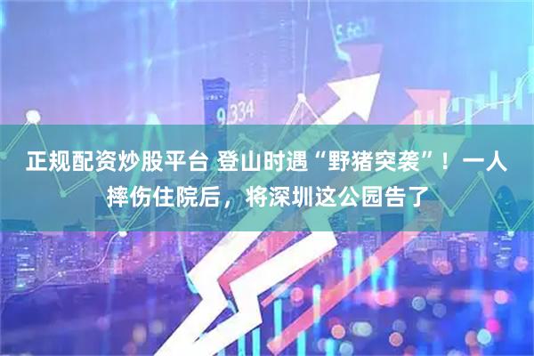 正规配资炒股平台 登山时遇“野猪突袭”！一人摔伤住院后，将深圳这公园告了